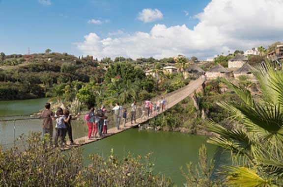 Excursion to Selwo adventure